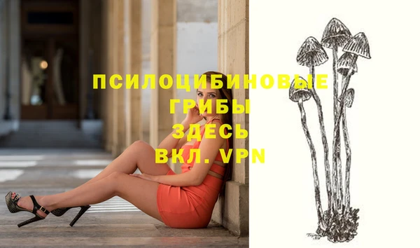 MESCALINE Пересвет