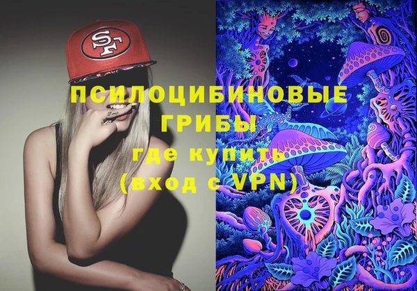 apvp Балахна