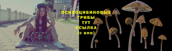 MDMA Premium VHQ Белокуриха
